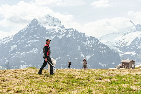20240607 Clean Up Grindelwald 123 Copy