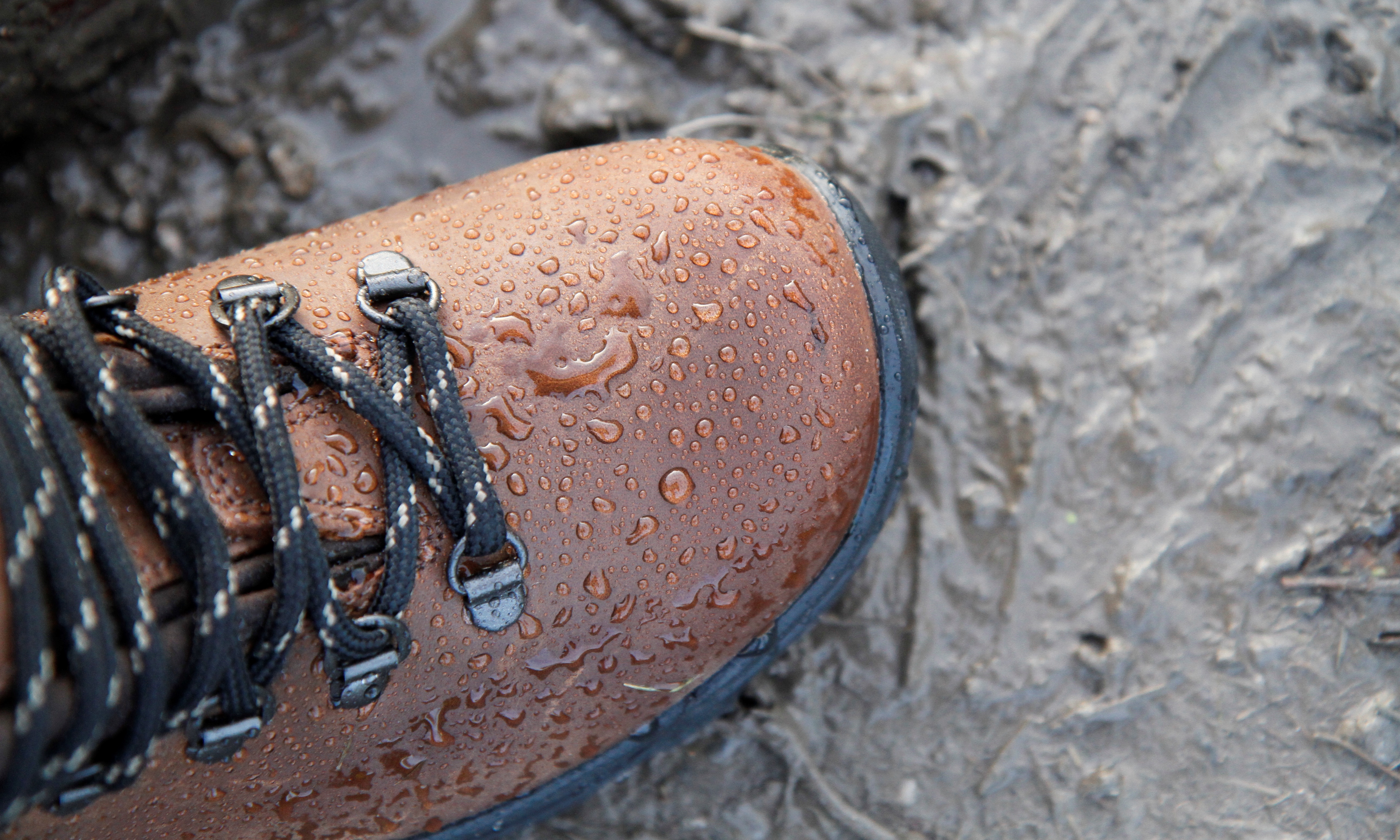 how to clean wet leather shoes