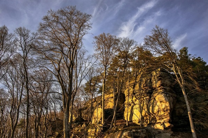 Mullerthaltrail Sandstone