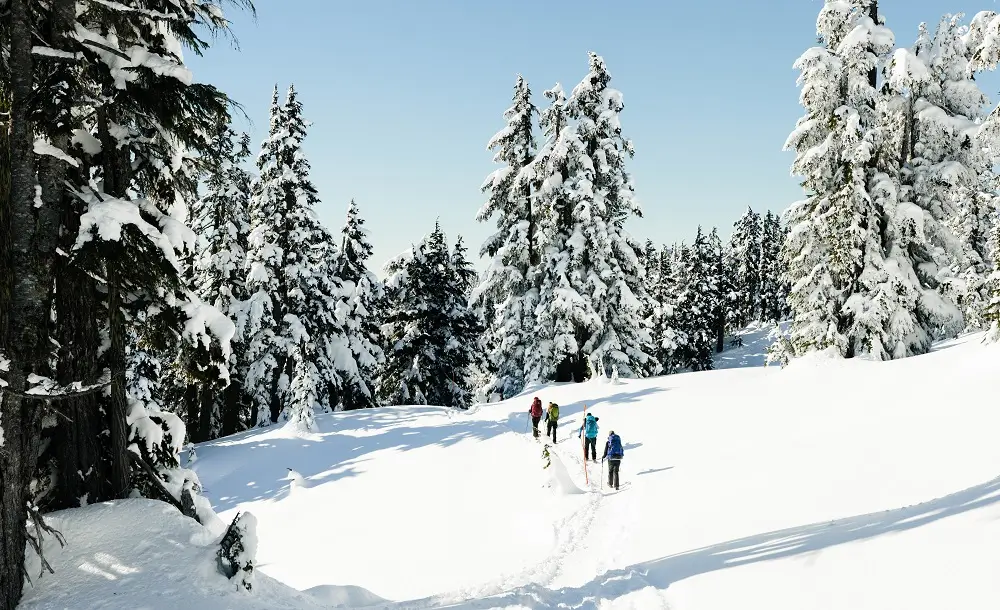 01 Credit Darius Haberstock For Passenger